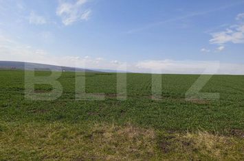 Teren de vanzare SUCEAVA - Suceava anunturi imobiliare Suceava