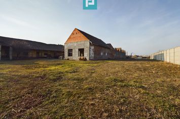 Teren și hale pe calea Aradului în Periam anunturi imobiliare Timis