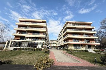 Apartament 3 camere pe malul lacului Snagov anunturi imobiliare Bucuresti