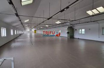 Spațiu industrial de inchiriat PERIFERIE - Alba anunturi imobiliare Alba