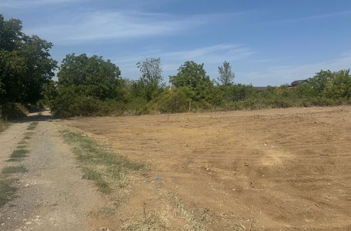 TEREN INTRAVILAN-PUZ APROBAT-2060 MP-ASTRELOR anunturi imobiliare Bucuresti
