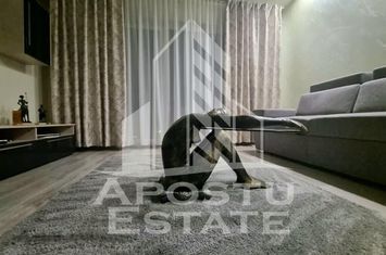Apartament 2 camere de inchiriat MICALACA - Arad anunturi imobiliare Arad