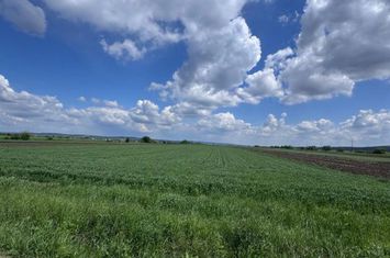 Teren de vanzare RADAUTI - Suceava anunturi imobiliare Suceava