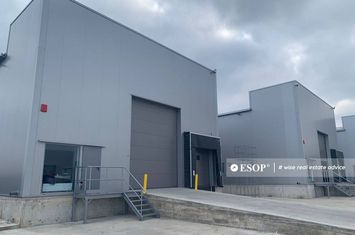 Spațiu industrial de inchiriat BRANESTI - Bucuresti anunturi imobiliare Bucuresti