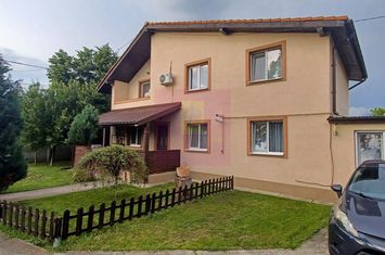 Săbăreni, casă 2009, P+1, terasă, garaj, curte 315 mp anunturi imobiliare Giurgiu