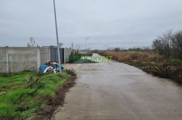 Proprietar - VÂNZARE LOTURI - Frumușani DN 4 anunturi imobiliare Calarasi