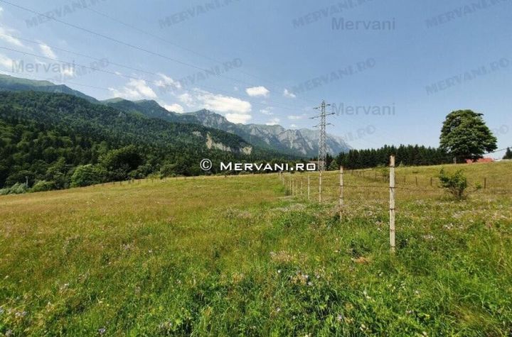 Teren de vânzare în Sinaia (zona Cumpătu) anunturi imobiliare Prahova
