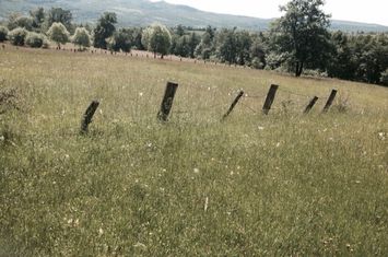 Teren Intravilan 720 mp. Bistra Muresului anunturi imobiliare Mures