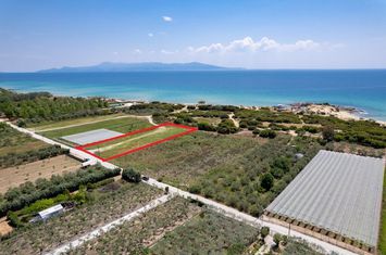 Teren 3.168 mp, față la mare — Ammolofoi, Nea Peramos anunturi imobiliare Grecia