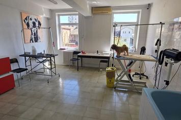 Inchiriere spatiu in vila Sebastian LIDL ideal birouri anunturi imobiliare Bucuresti