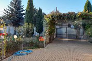 Vilă - 4 camere de vanzare SUCEAVA - Suceava anunturi imobiliare Suceava