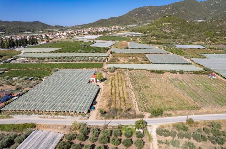 Teren 2188 mp în Elaiochori, vedere la mare anunturi imobiliare Grecia