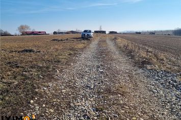 Teren Extravilan de vanzare HEMEIUS - Bacau anunturi imobiliare Bacau