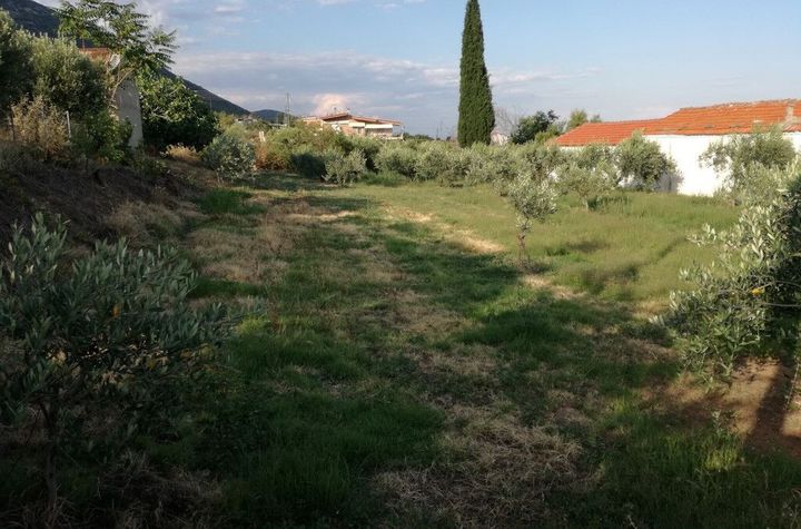 Teren construibil 810 mp în Zarkadia anunturi imobiliare Grecia