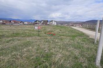 Teren Intravilan de vanzare CENTRAL - Alba anunturi imobiliare Alba