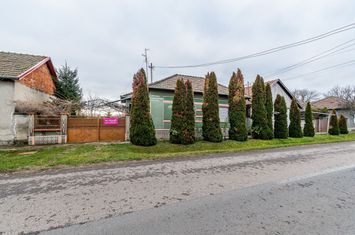 Casă în Dorobanți cu livadă + curte 2500 mp anunturi imobiliare Arad