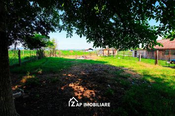 Mureșeni - Casa 80 mp - Teren 784 mp - singur in curte anunturi imobiliare Mures