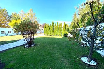 Villa with pool and generous garden, Iancu Nicolae, Cambridge School, anunturi imobiliare Bucuresti