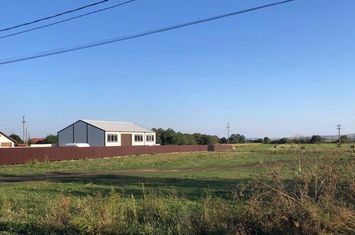 Teren de vanzare RADAUTI - Suceava anunturi imobiliare Suceava
