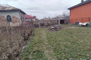 Teren de vanzare COSOVENI - Dolj anunturi imobiliare Dolj