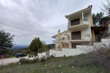Casă individuală 296 mp în Chrysopigi, Serres anunturi imobiliare Grecia