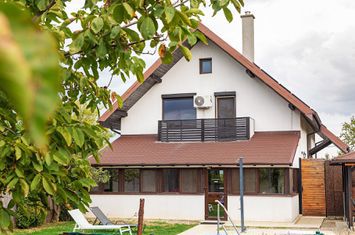 Vilă cu 5 dormitoare, 4 băi, 2 248mp teren, piscină. Preț: 229 000 Eur anunturi imobiliare Bihor