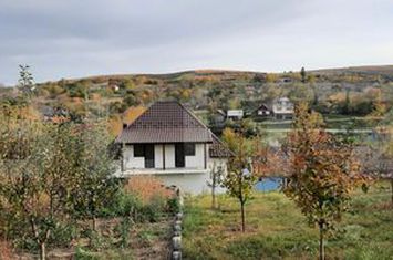 Vilă - 7 camere de vanzare CARA - Cluj anunturi imobiliare Cluj