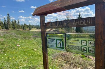 8572mp, Balcesti Belis, potential turistic, Parcul Apuseni, comision 0 anunturi imobiliare Cluj