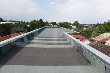 Vilă - 18 camere de vanzare GAESTI - Dambovita anunturi imobiliare Dambovita