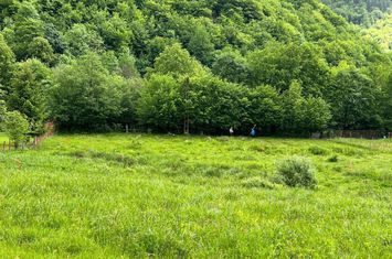 Teren Intravilan de vanzare MARISEL - Cluj anunturi imobiliare Cluj