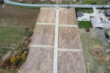 Teren Extravilan de vanzare DAIA - Sibiu anunturi imobiliare Sibiu