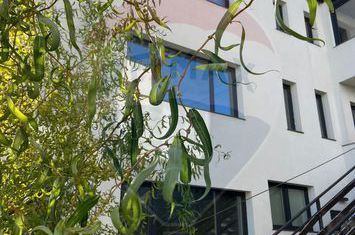 Vând apartament, zona Grigorescu anunturi imobiliare Cluj