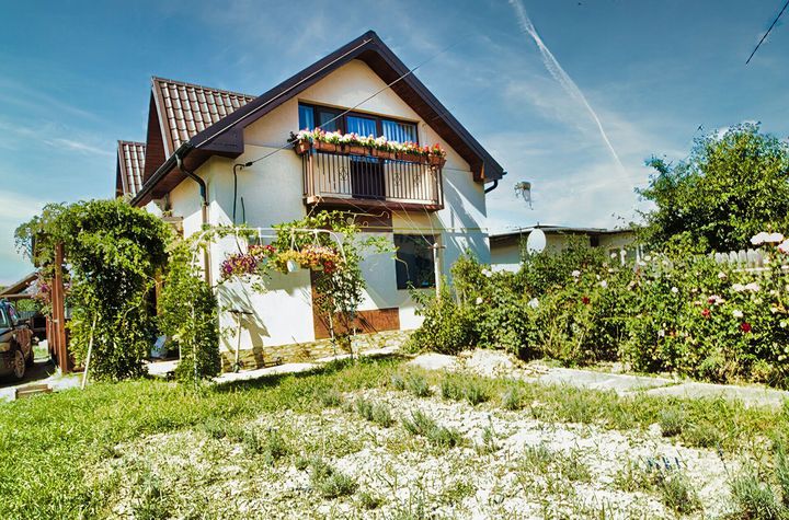 Casă de vanzare in Podu Iloiae anunturi imobiliare Iasi