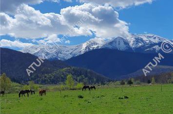Teren Intravilan de vanzare AVRIG - Sibiu anunturi imobiliare Sibiu