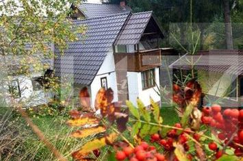 Vilă - 8 camere de vanzare ALBA IULIA - Alba anunturi imobiliare Alba