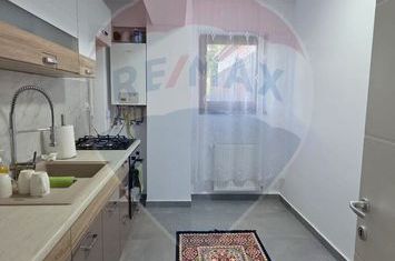 Apartament cu 2 camere de vânzare si curte privata de 187 m.p. anunturi imobiliare Iasi