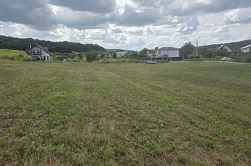 Teren intravilan 18.600 mp.cu deschidere de 250 m la drum anunturi imobiliare Mures