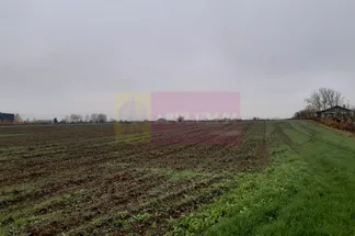 Teren Intravilan de vânzare Bucuresti - 1-Decembrie