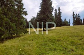Teren pentru construcții la munte, în Vatra Dornei! anunturi imobiliare Suceava