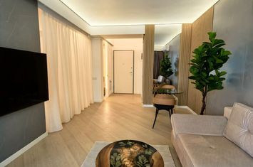 Cortina North, inchiriere studio dublu, 45 mp totali, modern mobilata, imobil din 2024, anunturi imobiliare Bucuresti