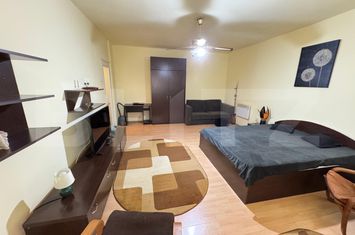 Garsonieră de inchiriat CALEA BUCURESTI - Dolj anunturi imobiliare Dolj