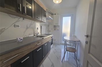 Garsonieră de inchiriat LUNCA CETATUII - Iasi anunturi imobiliare Iasi