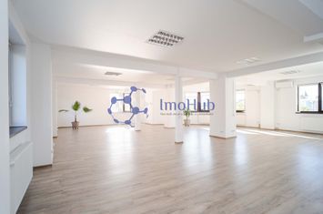 Cladire birouri 785mp, teren 600 mp, Tudor Vladimirescu - River Towers anunturi imobiliare Iasi
