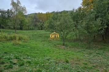 Teren Intravilan de vanzare DAESTI - Valcea anunturi imobiliare Valcea