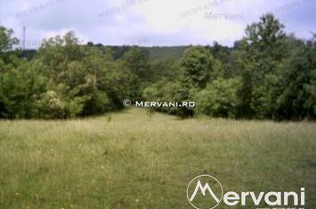 Teren Intravilan de vanzare VOILA - Prahova anunturi imobiliare Prahova