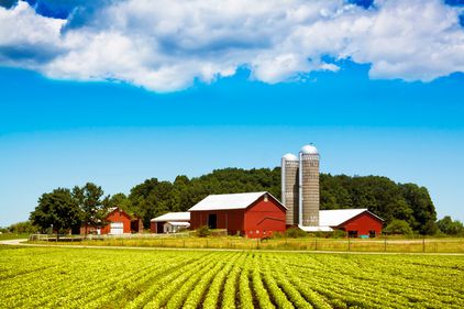 România, cumpărată de străini? Terenurile agricole, afacerea anului 2014