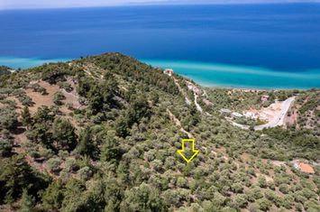 Teren construibil 5302 mp în Skala Kallirachis anunturi imobiliare Grecia