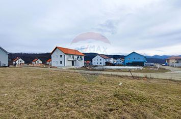 Teren intravilan de vânzare în Tălmaciu anunturi imobiliare Sibiu