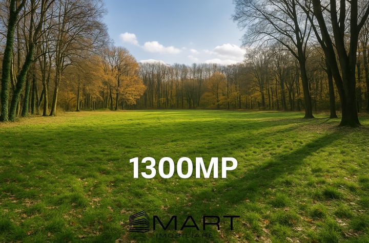 Teren de vanzare SUB ARINI - Sibiu anunturi imobiliare Sibiu