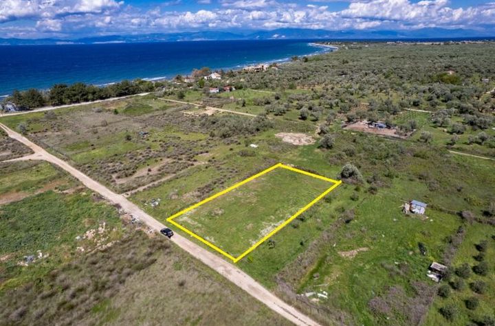 Teren agricol 1373 mp în Skala Sotiros anunturi imobiliare Grecia